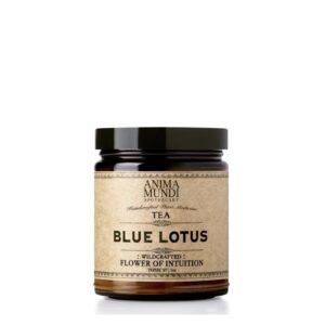bluelotus.jpg