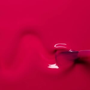 fuchsia c01e5b6a 495c 4b6f 9293 4dff88fbf71e.jpg