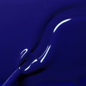 greenflash navyblue.jpg