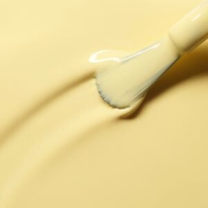mimosa 3024f08c 866a 47e8 8c93 d9df19a6dcd3.jpg